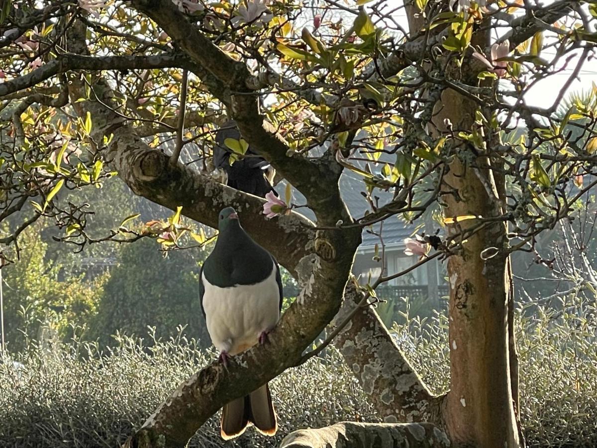 Te Anau Lakefront Backpackers Buitenkant foto Giant panda climbing a tree